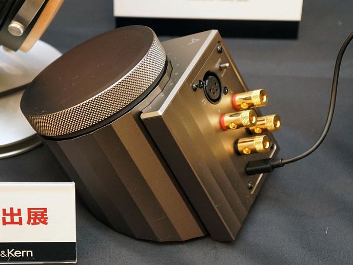 Интегральный усилитель Astell&Kern ACRO L1000 - рис.2