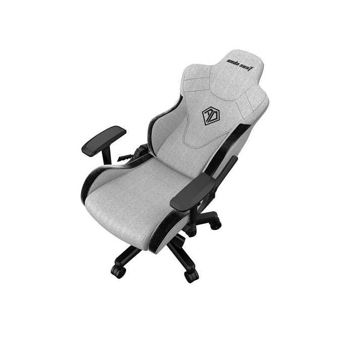 Компьютерное кресло AndaSeat T Pro 2 Series Grey Black - рис.4