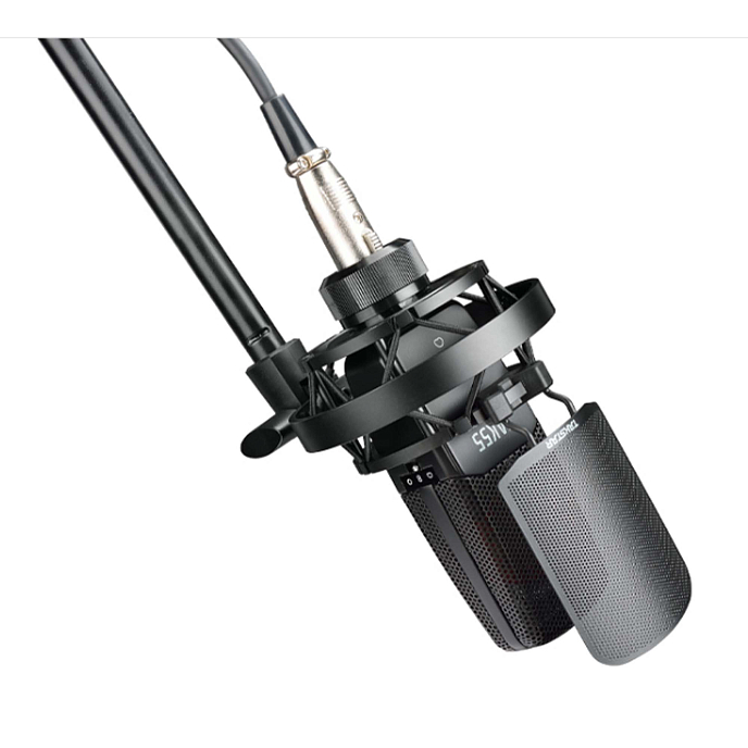 Микрофон студийный TAKSTAR TAK55 - рис.3