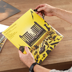 Набор для чистки винила Analog Renaissance Rock Legacy Edition №3