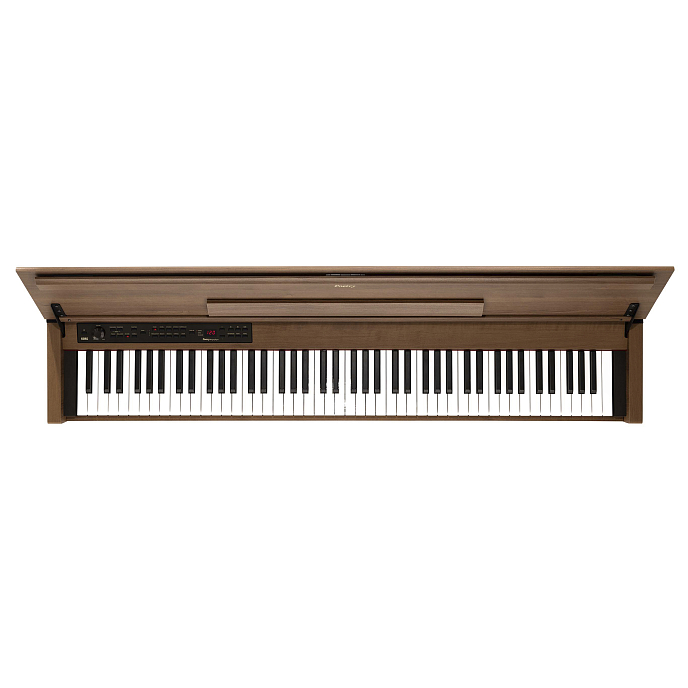 Синтезатор Korg Poetry M Brown - рис.1
