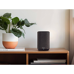 Мультирум акустика Denon Home 150 NV Black