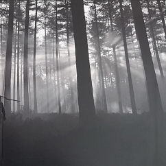 Виниловая пластинка Unkle - Ronin II (Deluxe White with Pink Splatter) - 2LP