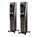 Напольная акустика Dynaudio Confidence 30 Smoke High Gloss - рис.0