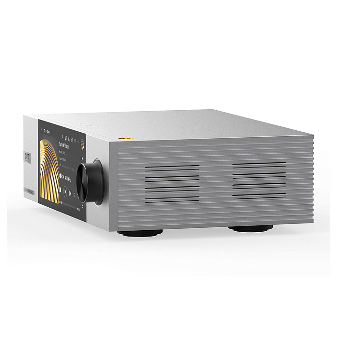 Сетевой аудиоплеер Eversolo DMP-A6 Master Edition Gen 2 Silver - рис.4