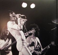 Пластинка Queen - A Night At The Odeon