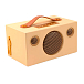 Портативная колонка Audio Pro Addon T3+ Peter Eugen - рис.1 Портативная колонка Audio Pro Addon T3+ Peter Eugen - рис.1