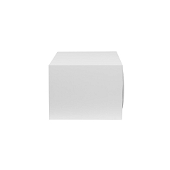 Центральный канал Martin Logan Foundation C1 Satin White