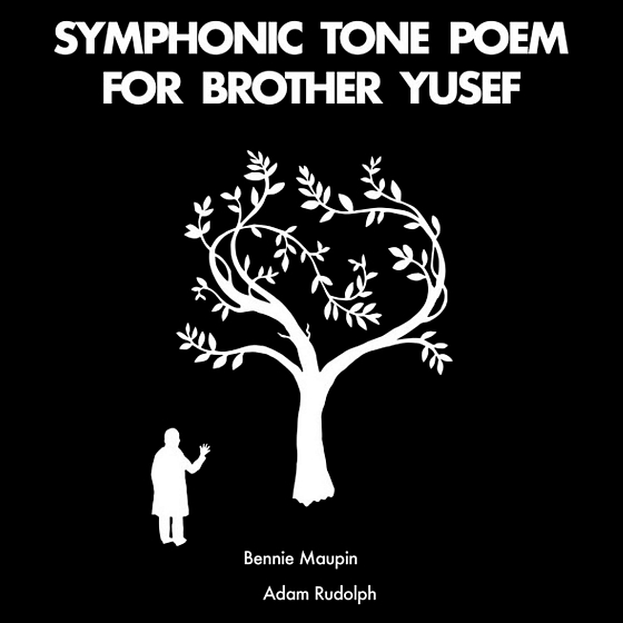 Пластинка Bennie Maupin, Adam Rudolph – Symphonic Tone Poem For Brother Yusef LP - рис.0