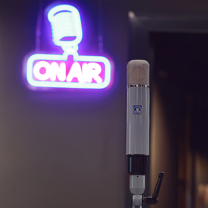 Микрофон студийный Myburgh M1 - рис.16