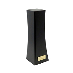 Инструмент для очистки DS Audio ION-001 Vinyl Ionizer Black