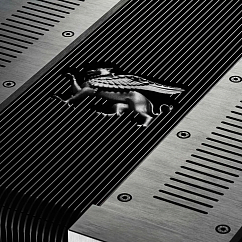 Усилитель мощности Gryphon Apex Mono Power Amplifier Black