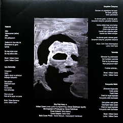 Пластинка She Past Away – Narin Yalnizlik LP