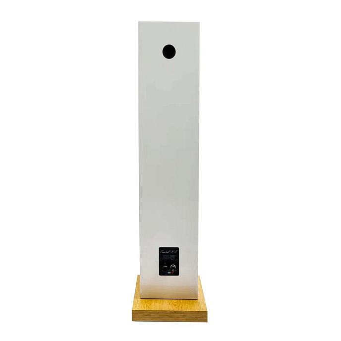 Напольная акустика Davis Acoustics Courbet N 8 White Gloss - рис.2