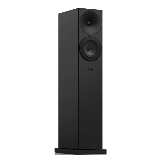 Напольная акустика Amphion Argon3LX Black