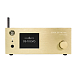 Сетевой аудиоплеер Gold Note DS-10 Evo Line Gold - рис.0
