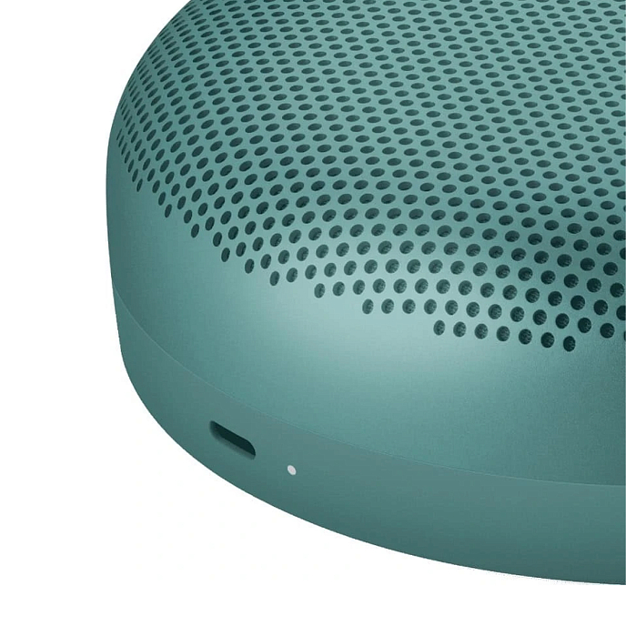Портативная колонка Bang & Olufsen Beosound A1 3rd Gen Eucalyptus Green - рис.5