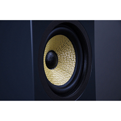 Напольная акустика Davis Acoustics Courbet N 4 Black Matt