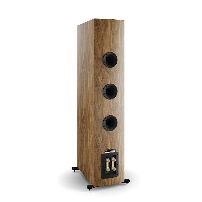 Полочная акустика Dali Rubikore 8 Natural Walnut - рис.5