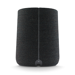 Портативная колонка Harman Kardon Citation One Black