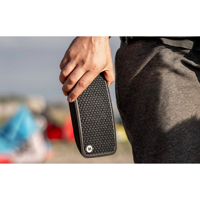 Портативная колонка Audio Pro P5 - рис.7