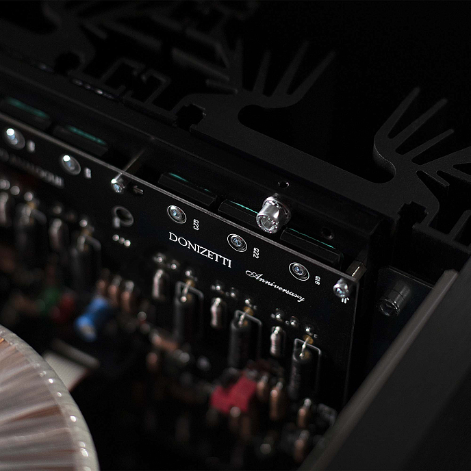 Усилитель мощности Audio Analogue Donizetti Anniversary Black - рис.5