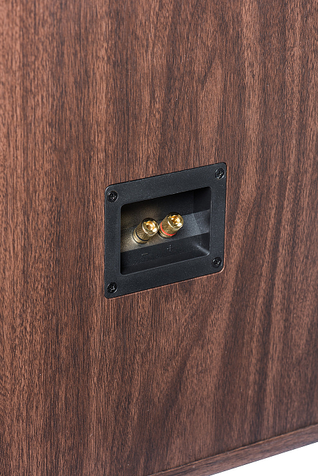 Напольная акустика ELTAX Monitor PWR 1959 коричневый - рис.8