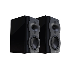Полочная акустика Perlisten Audio R4b Piano Black