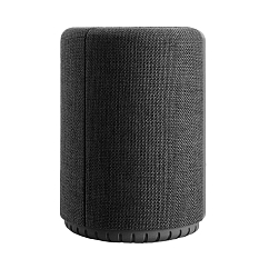 Портативная колонка Audio Pro A10 MKII Dark Grey