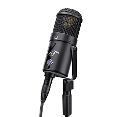 Микрофон студийный Neumann U47 Fet Bon Scott Edition