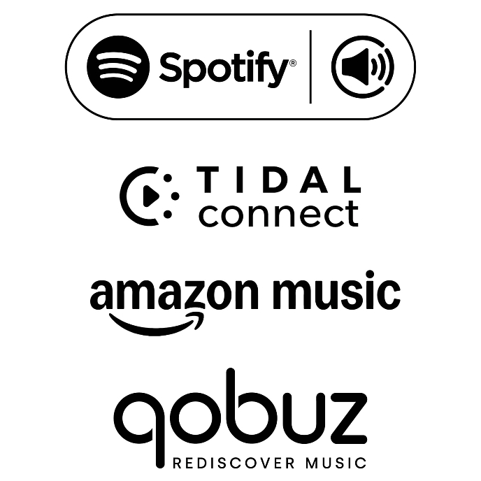 Интегральный усилитель Pro-Ject Uni Box S3 Black - рис.8