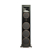 - рис.4 Напольная акустика Martin Logan Motion XT F200 Tower Walnut - рис.4
