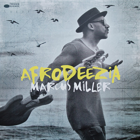 Пластинка Marcus Miller - Afrodeezia - рис.0