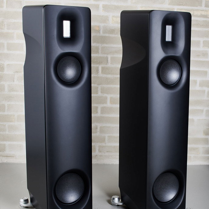 Напольная акустика Borresen Z2 Black Matte - рис.1