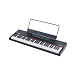- рис.1 Синтезатор Alesis RECITAL 61 - рис.1