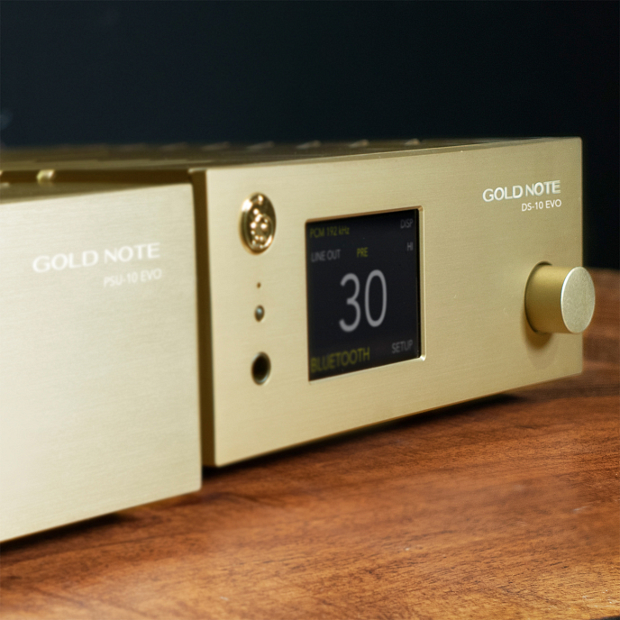 Сетевой аудиоплеер Gold Note DS-10 Evo Line Gold - рис.2
