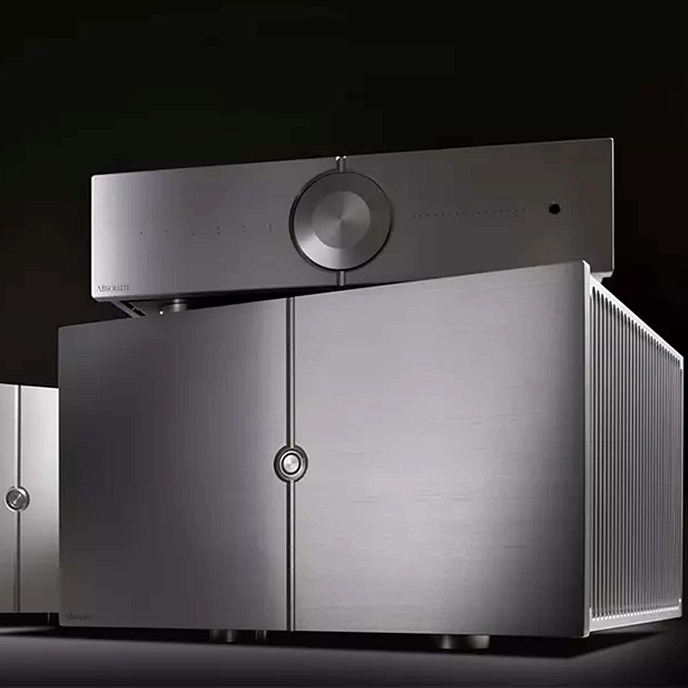 Усилитель мощности Audio Analogue Absolute Mono Silver - рис.4