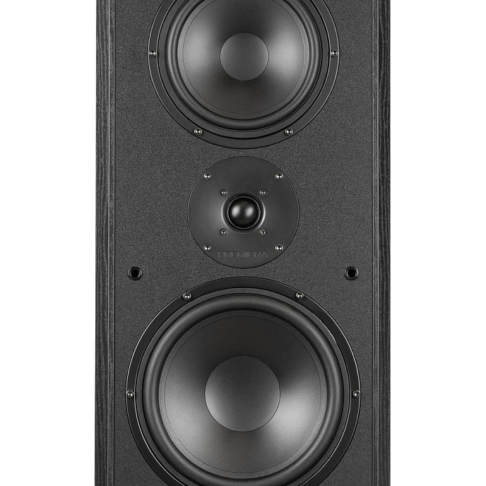 Напольная акустика Premiera ES-831 Black - рис.2