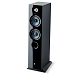 Напольная акустика Focal Chora 816 Black - рис.1