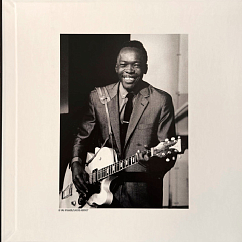 Виниловая пластинка John Lee Hooker - The Real Folk Blues (Analogue) LP