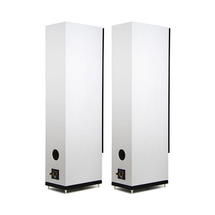 Напольная акустика Radiotehnika Gamma 3.03 White Ash - рис.2