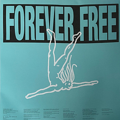 Виниловая пластинка Faithless - Champion Sound LP