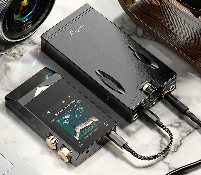 Усилитель для наушников Cayin C9 Black - рис.7