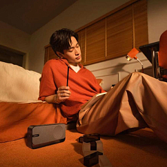 Портативная колонка Bose SoundLink Home Cool Gray