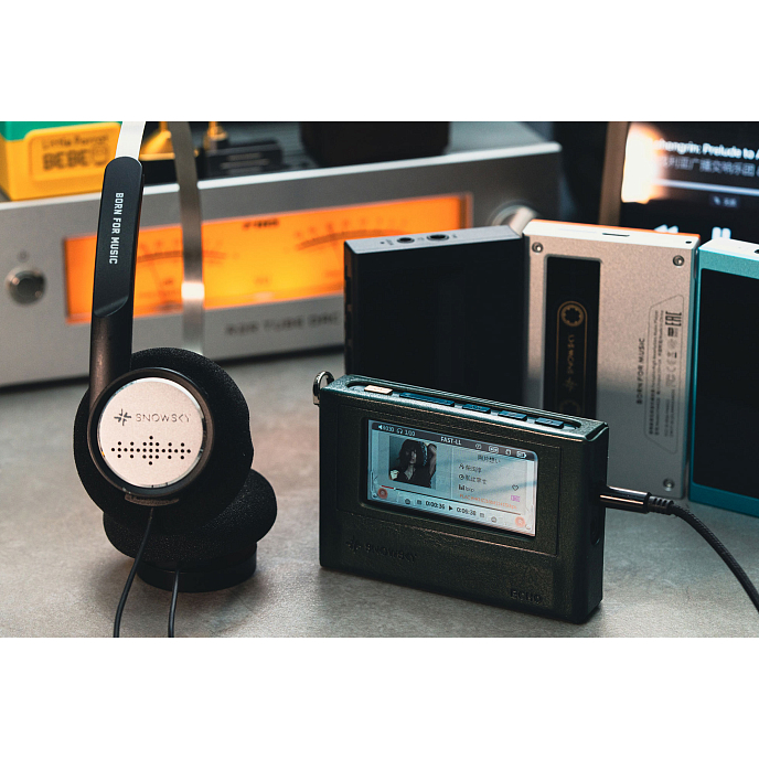 Плеер FiiO Snowsky Echo Green - рис.7