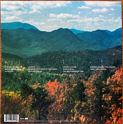Виниловая пластинка Tame Impala – Innerspeaker 2LP