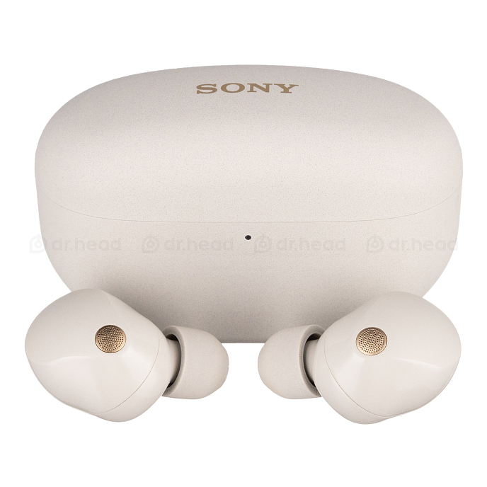 Беспроводные наушники Sony WF-1000XM5 Silver - рис.1