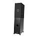 Сабвуфер Gold Note Diana III Subwoofer Black - рис.8