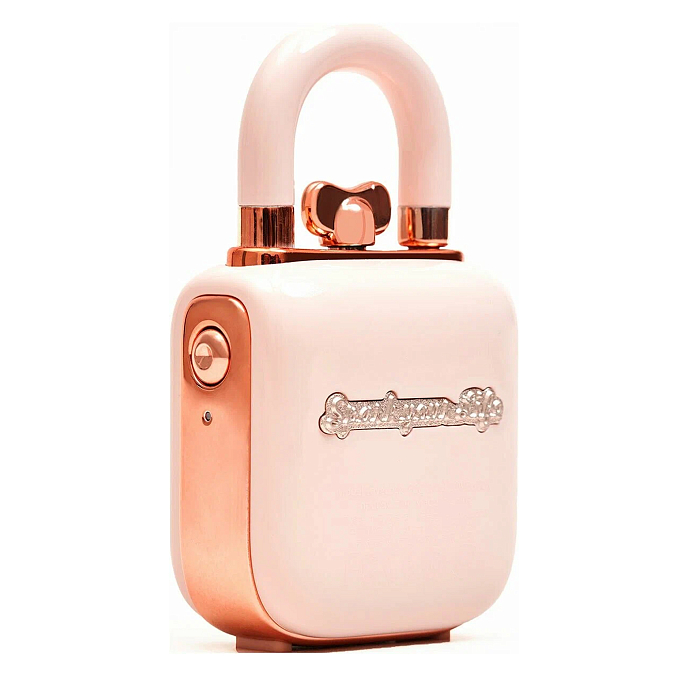Портативная колонка Divoom LoveLock Pink - рис.2