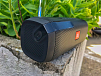 Портативная колонка JBL Tuner FM - рис.6